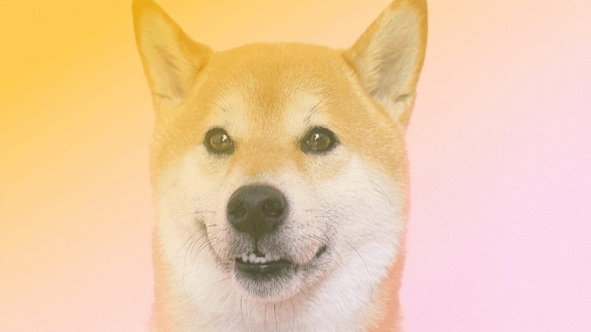 732