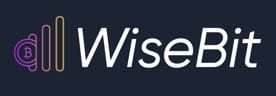 WiseBit.AI Logo WiseBit.AI Logo